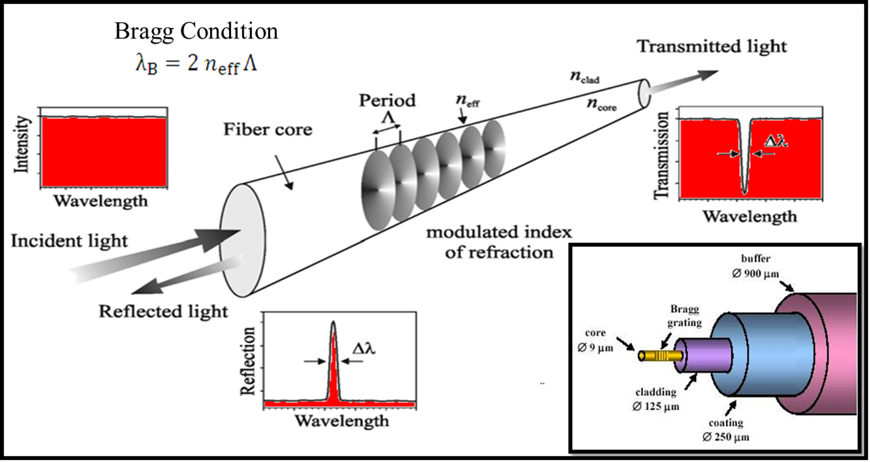 FBG Sensor